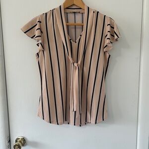 Striped V-Neck Blouse - Pink and Black